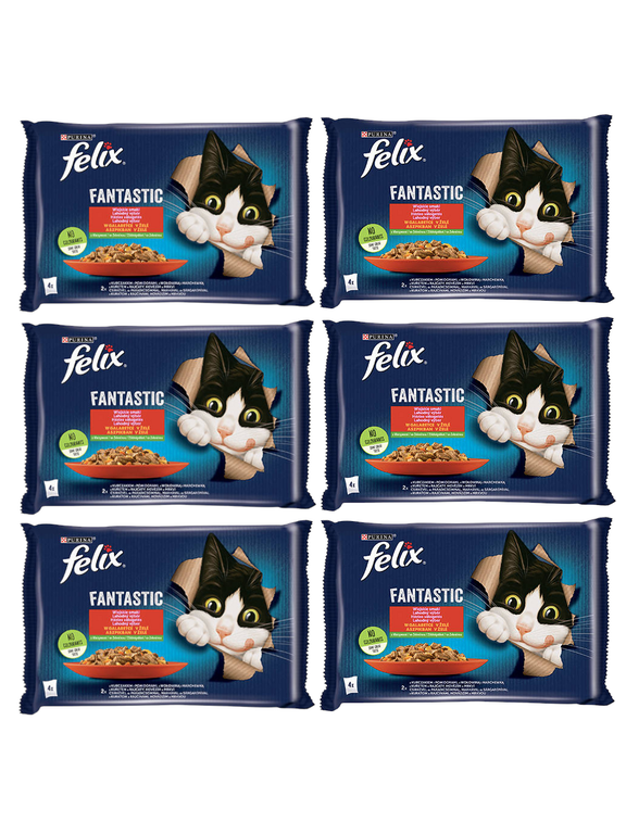 FELIX Fantastic w galaretce z kurczakiem i wołowiną 12x(4x85g)