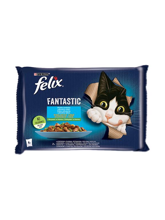 FELIX Fantastic Wiejskie Smaki w galaretce z łososiem i pstrągiem  4x85g