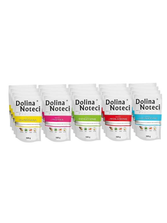 Dolina Noteci PREMIUM MIX Smaków 20 x 500g