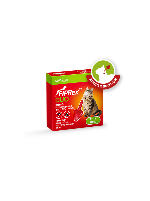 FIPREX DUO 50 mg + 60 mg roztwór do nakrapiania dla kotów i fretek