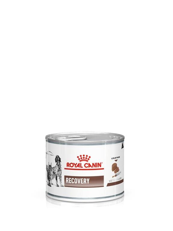 ROYAL CANIN Recovery 195g puszka