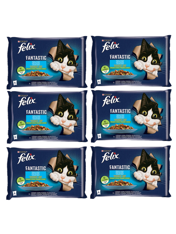 FELIX Fantastic Wiejskie Smaki w galaretce z łososiem i pstrągiem  12x(4x85g)