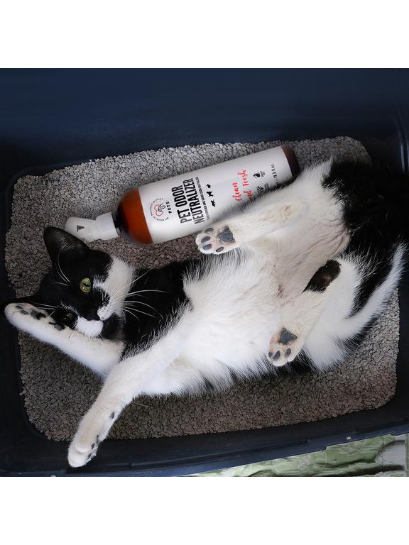 PET ODOR NEUTRALIZER_ Odplamiacz i Neutralizator zapachu moczu 500ml