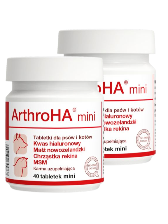 Dolfos ArthroHA mini  - preparat wspomagający leczenie schorzeń stawów 2x40 tab.