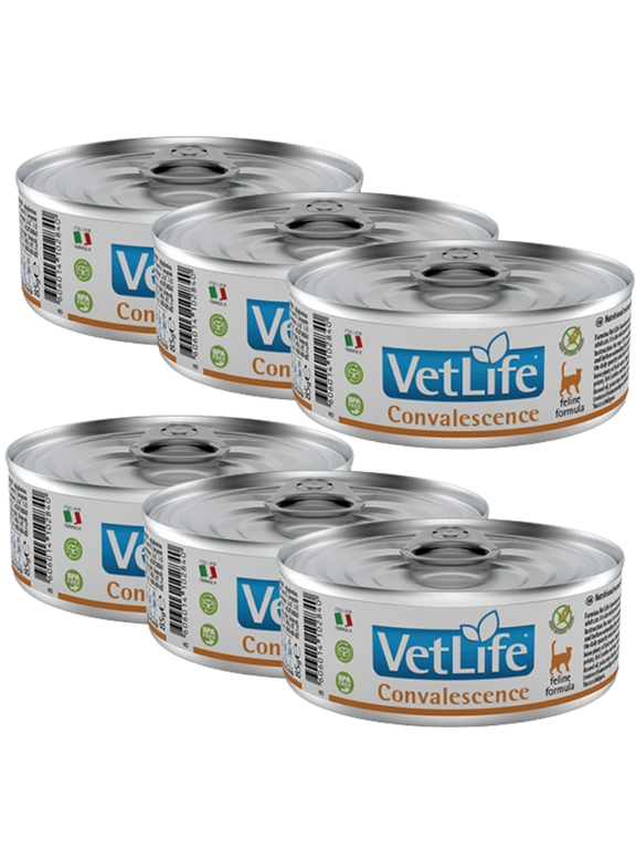 Farmina Vet Life Convalescence Cat 6x85g