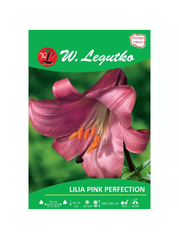 Lilia Pink Perfection różowa 1szt.
