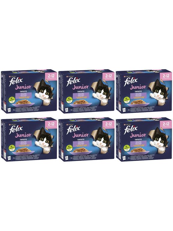 FELIX Fantastic Junior w galaretce; 72x85g