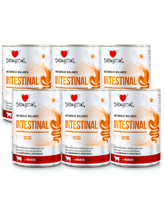 Disugual Karma mokra dla psa Weterynaryjna INTESTINAL Wołowina (dorosły) 6x400g