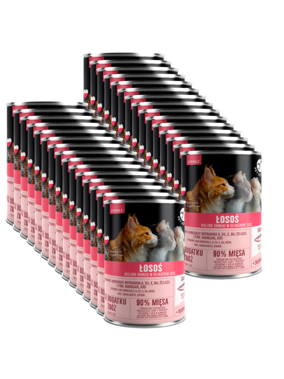PetRepublic kawałki w sosie z łososiem (sterile) 30x400g dla kota