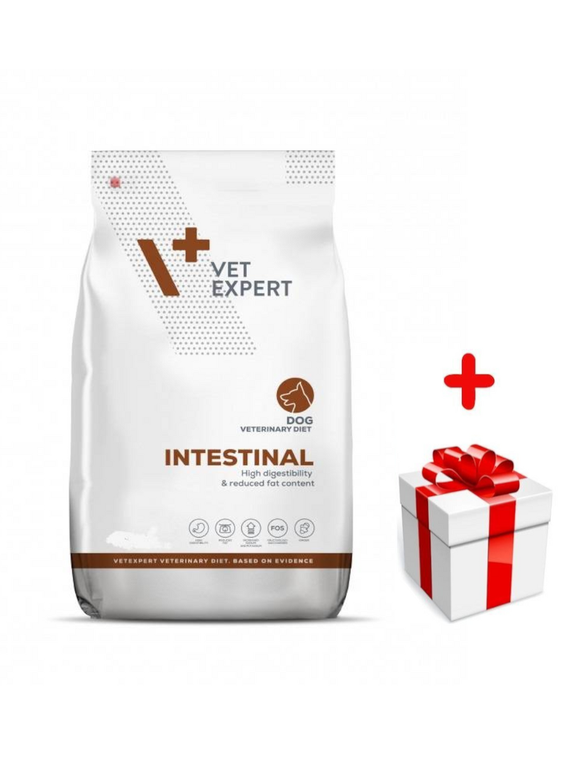 VETEXPERT Dog Intestinal 12kg + niespodzianka dla psa GRATIS!