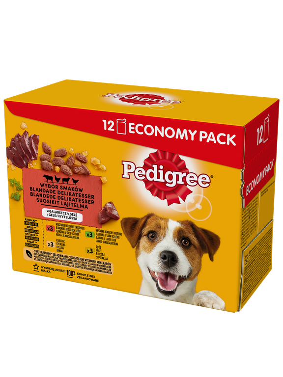 PEDIGREE Adult saszetka 12x100 g - Wybór Smaków w Galaretce, mokra karma pełnoporcjowa w galaretce dla dorosłych psów (kawałki bogate w mieszankę wołowiny i wątróbki, bogate w kurczaka, bogate w mieszankę jagnięciny i wątróbki oraz bogate w drób)
