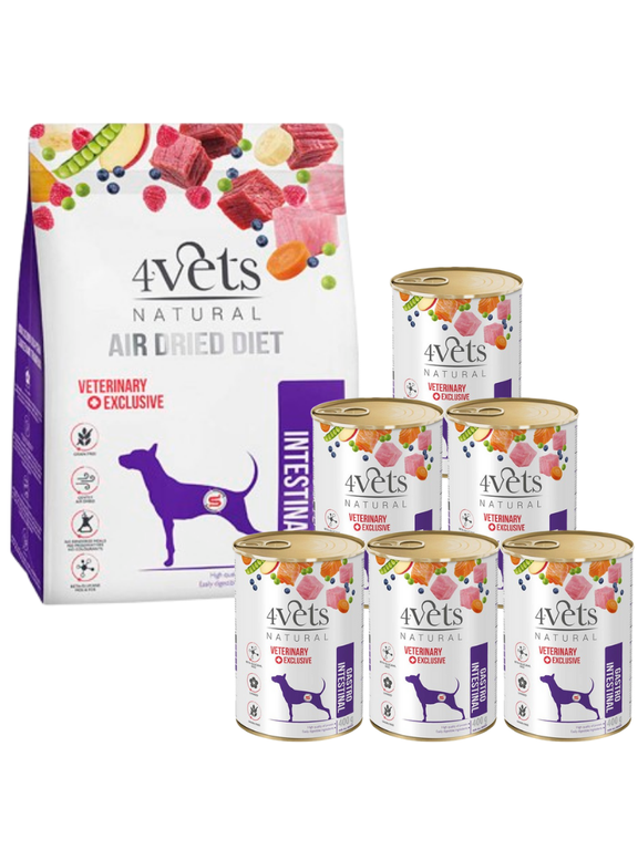 4Vets Natural Zestaw Gastro Intestinal;  karma suszona 1kg + karma mokra 6x400g