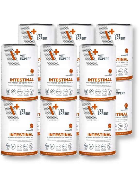 VETEXPERT Intestinal Dog 12x400g