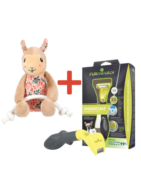FURMINATOR dla psów krótkowłosych - Toy Dog XS + Zabawka dla psa GRATIS!