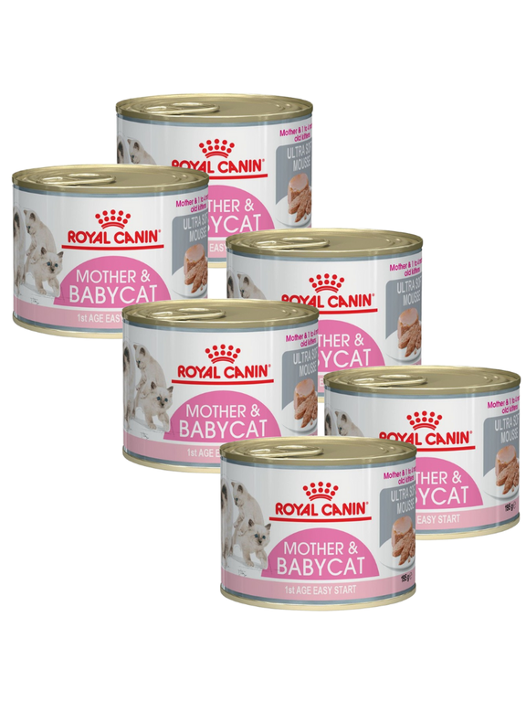 ROYAL CANIN Babycat Instinctive Feline - 6 x 195g puszka
