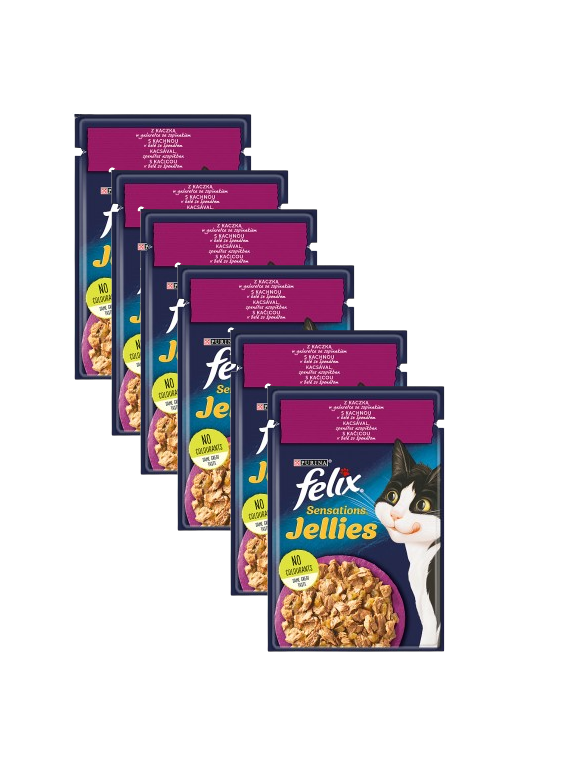 Felix Kaczka w galaretce ze Szpinakiem saszetka 26x85g