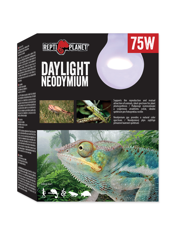 RP Żarówka  Daylight Neodymium 75W