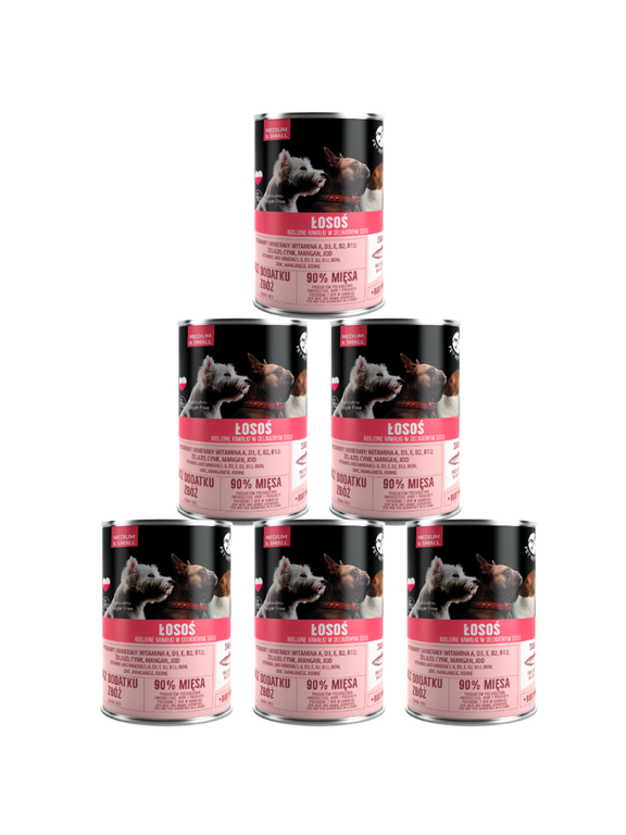 PetRepublic kawałki w sosie z łososiem 6x400g