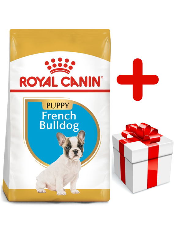 ROYAL CANIN French Bulldog Puppy 10kg karma sucha dla szczeniąt do 12 miesiąca, rasy bulldog francuski + niespodzianka dla psa GRATIS!