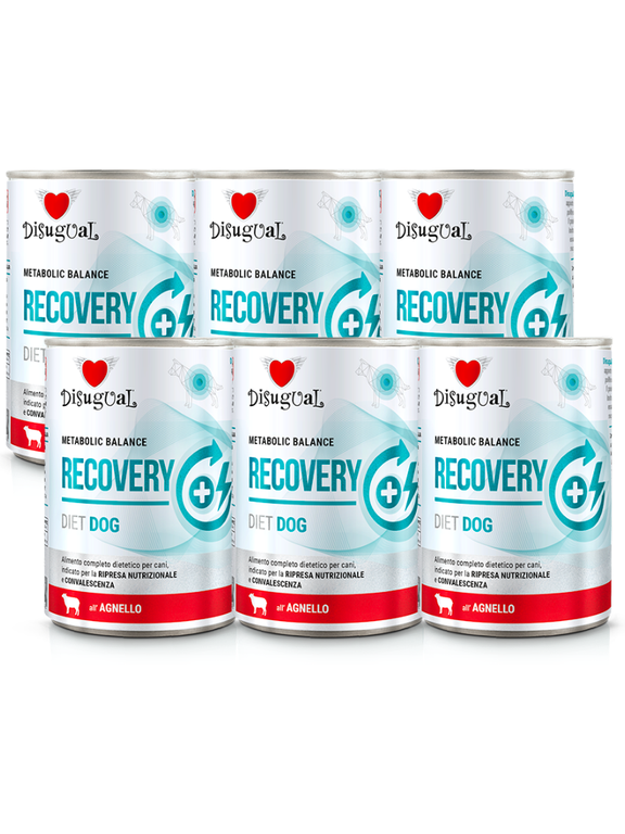 Disugual Karma mokra dla psa Weterynaryjna RECOVERY Jagnięcina (dorosły) 6x400g