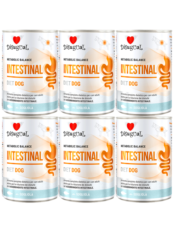 Disugual Karma mokra dla psa Weterynaryjna INTESTINAL Sola (dorosły) 6x400g