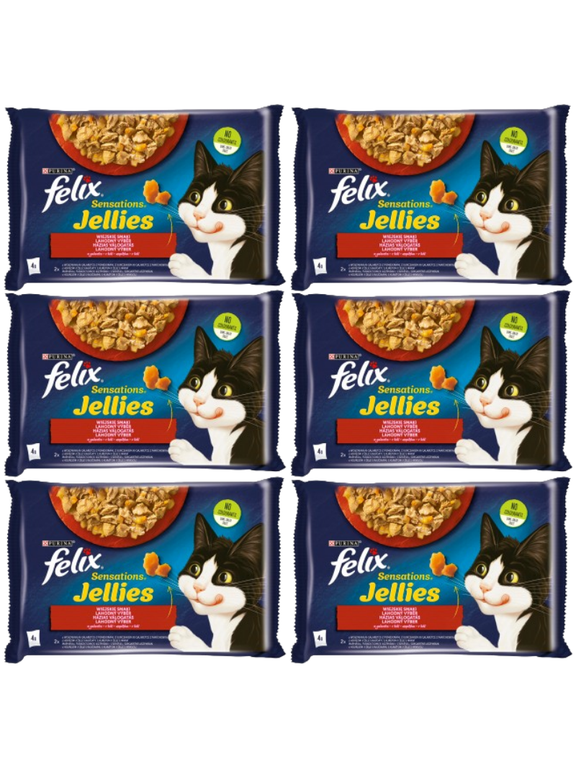FELIX Sensations Jellies Karma dla kotów wiejskie smaki w galaretce 12x(4x85g)