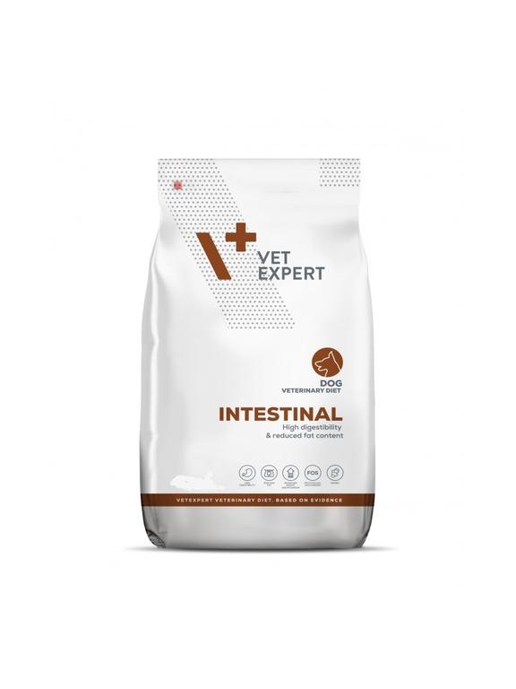 VETEXPERT Dog Intestinal 12kg