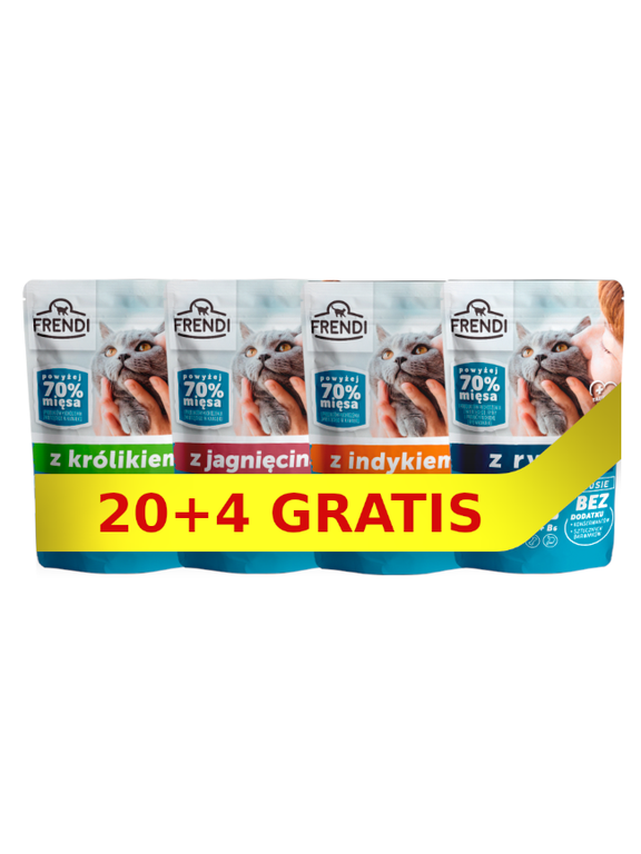 Frendi kawałki w delikatnym sosie Mix smaków 24x100g