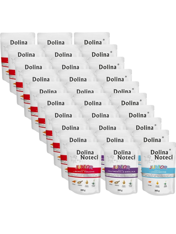 Dolina Noteci PREMIUM Junior MIX Smaków 30x300g
