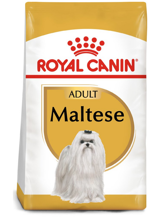 ROYAL CANIN Maltese Adult 500g karma sucha dla psów dorosłych rasy maltańczyk