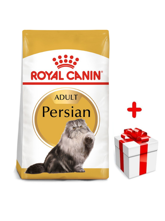 ROYAL CANIN Persian Adult 400g karma sucha dla kotów dorosłych rasy perskiej + niespodzianka dla kota GRATIS!