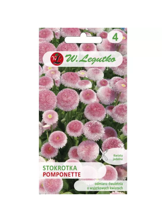 Stokrotka pospolita Pomponette - różowa