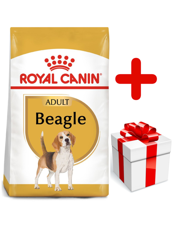 ROYAL CANIN Beagle Adult 12kg karma sucha dla psów dorosłych rasy beagle + niespodzianka dla psa GRATIS!