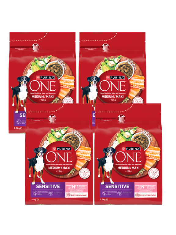 PURINA ONE Sensitive Medium/Maxi Karma dla dorosłych psów bogata w łososia z ryżem 4x2,5 kg