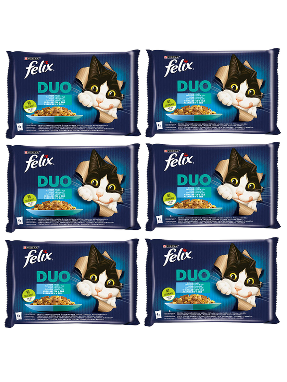 FELIX Duo Rybne Smaki w galaretce 12x(4x85g)