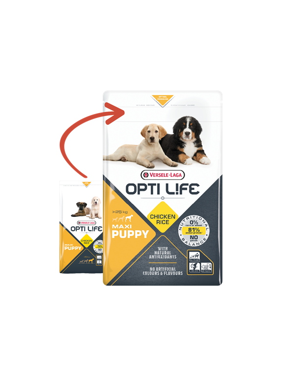 VERSELE-LAGA Opti Life Puppy Maxi 12,5kg + niespodzianka dla psa GRATIS!