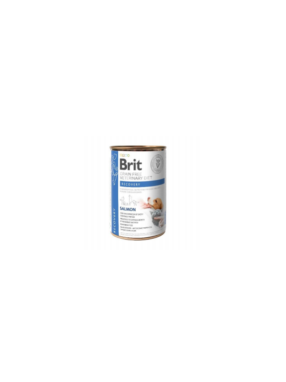 BRIT GF Veterinary Diets Recovery Salmon 400g - karma mokra dla psa i kota