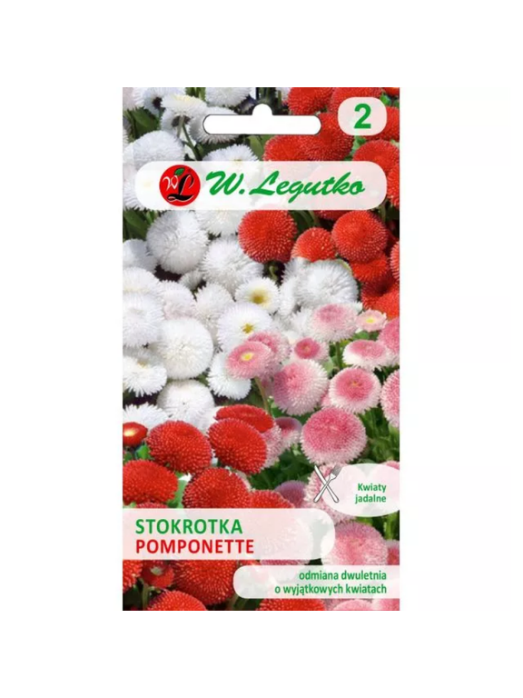 Stokrotka pospolita Pomponette - mieszanka