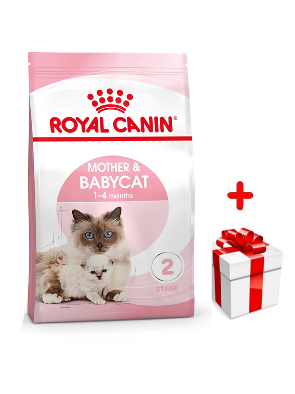 ROYAL CANIN  Mother&Babycat 4kg karma sucha dla kotek w okresie ciąży, laktacji i kociąt od 1 do 4 miesiąca życia + niespodzianka dla kota GRATIS!