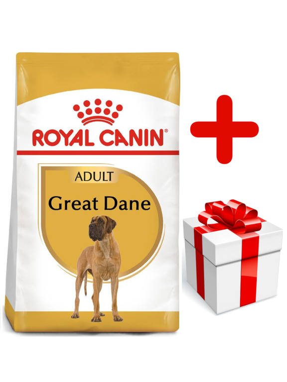 ROYAL CANIN Great Dane Adult 12kg karma sucha dla psów dorosłych rasy dog niemiecki  + niespodzianka dla psa GRATIS!