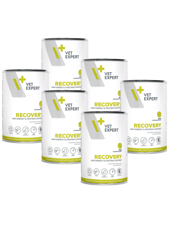 VETEXPERT Dog Diet Recovery 6x400g