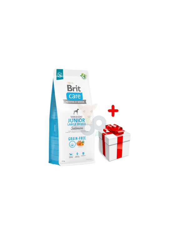 BRIT CARE Dog Grain-free Junior Large Breed Salmon 12kg + niespodzianka dla psa GRATIS!