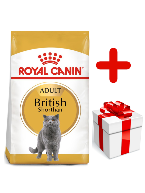 ROYAL CANIN British Shorthair 10kg karma sucha dla kotów dorosłych rasy brytyjski krótkowłosy + niespodzianka dla kota GRATIS!