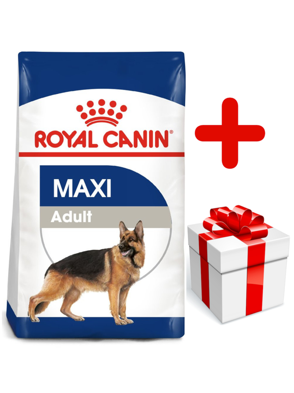 ROYAL CANIN Maxi Adult 15kg karma sucha dla psów dorosłych, do 5 roku życia, ras dużych + niespodzianka dla psa GRATIS!