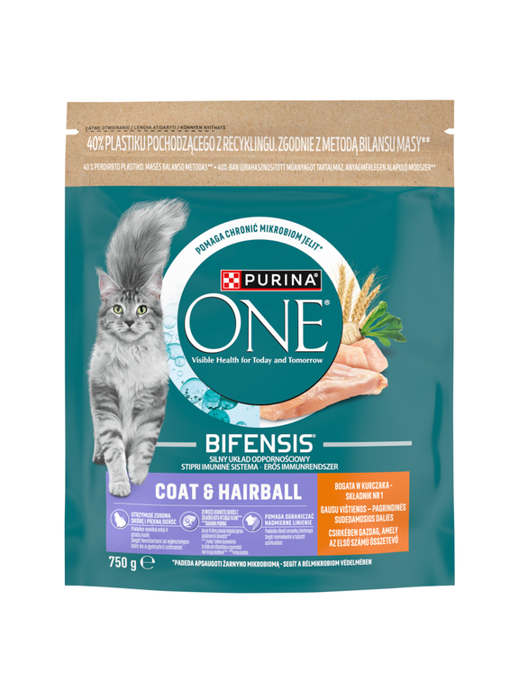PURINA ONE Coat & Hairball z kurczakiem 750g