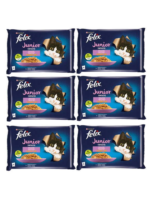 FELIX Fantastic Junior w galaretce z kurczakiem i łososiem 12x(4x85g)