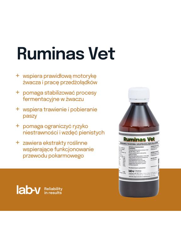 Lab-v Ruminas Vet - Mieszanka Paszowa Uzupełniająca Na Prawidłowe Funkcjonowanie Przewodu Pokarmowego Dla Krów 200ml