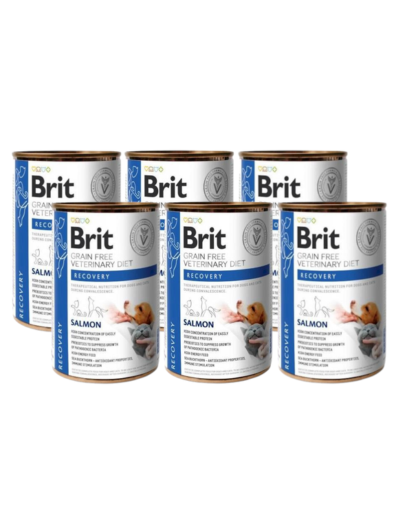 BRIT GF Veterinary Diets Recovery Salmon 6x400g - karma mokra dla psa i kota