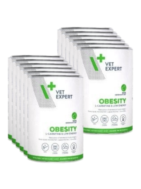 VETEXPERT Diet Obesity 12x400g