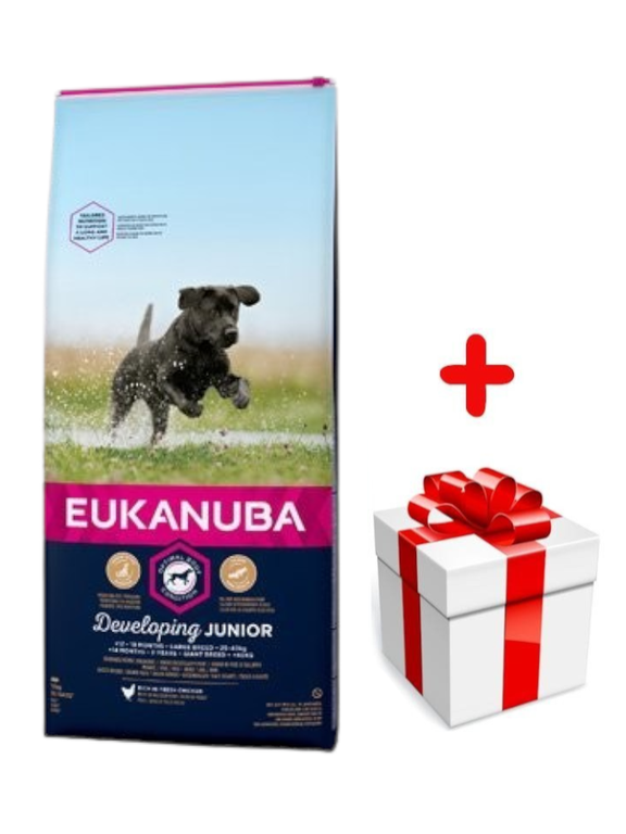 EUKANUBA Junior Large 15kg + niespodzianka dla psa GRATIS!